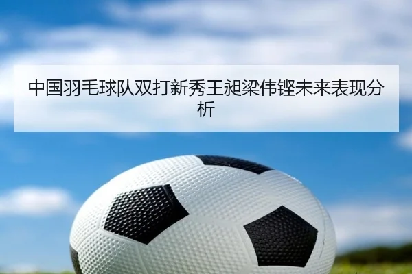 中国羽毛球队双打新秀王昶梁伟铿未来表现分析